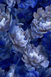 Midnight Blue Peony Floral Wallpaper design