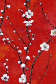 Vibrant Red Cherry Blossom Floral Wallpaper design