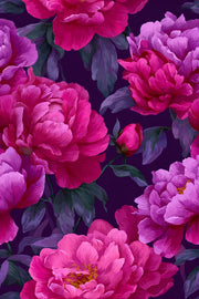 Dark Plum and Pink Peony Floral Wallpaper design
