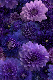 Deep Violet and Lavender Dahlia Floral Wallpaper design