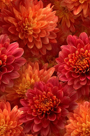 Floral Wallpaper Vibrant Mural Red Wall Decor design