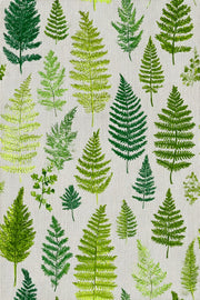 Shades Of Green Wallpaper Leaf Natural Wall Mural design