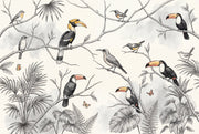 Tropical Birds Wallpaper Exotic Birds Jungle Birds Wall Mural design