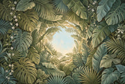 Tropical Foliage Wallpaper Botanical Leaves Monstera Wall Mural design