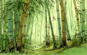 Shades Of Green Wallpaper Bamboo Forest Wall Mural design