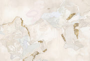 World Map Wallpaper World Map World Map Removable Wall Decor design