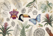 Tropical Wallpaper Toucan Blue Butterfly Wall Mural design