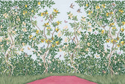 Pastel Butterflies Wallpaper Citrus Grove Removable Songbird Wall Decor design