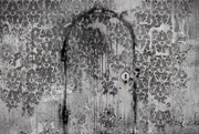 Distressed Damask Wallpaper Aged Wall Arched Door Outline Wall Mural design