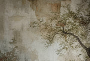 Tree Branches Wallpaper Delicate Leaves Removable Aged Plaster Wall Wall Decor design