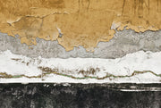 Distressed Wallpaper Peeling Plaster Removable Birds Wall Decor design