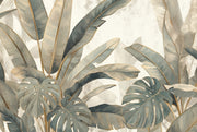 Tropical Leaves Wallpaper Monstera Banana Leaf Wall Mural design