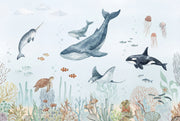 Underwater Wallpaper Marine Life Ocean Wall Mural design