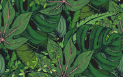Deep Green Tropical Leaves Botanical Wallpaper design