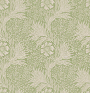 Botanical Floral Wallpaper Sage Green Linework Wall Mural design