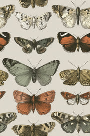 Butterflies Wallpaper Vintage Removable Nature Wall Mural design