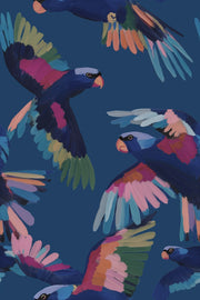 Birds Wallpaper Abstract Colorful Removable Wall Decor design